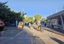 Κυριακή χωρίς αυτοκίνητο στην κεντρική πλατεία του Δήμου Ηρακλείου Αττικής